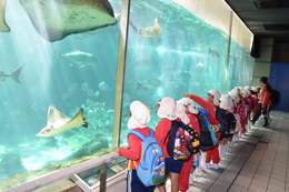 須磨海浜水族園